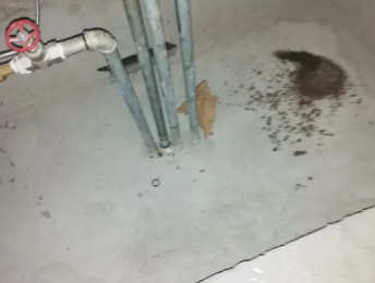 清河卫生间测漏水价格明细