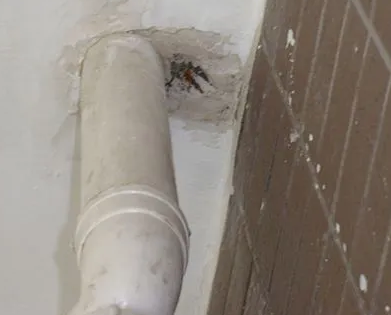 清河漏水检测哪家好